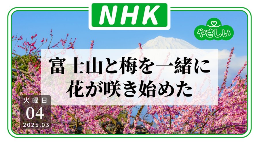 「（新系列）亚撒西NHK：富士市岩本山公园迎来花期」-MOJi辞書