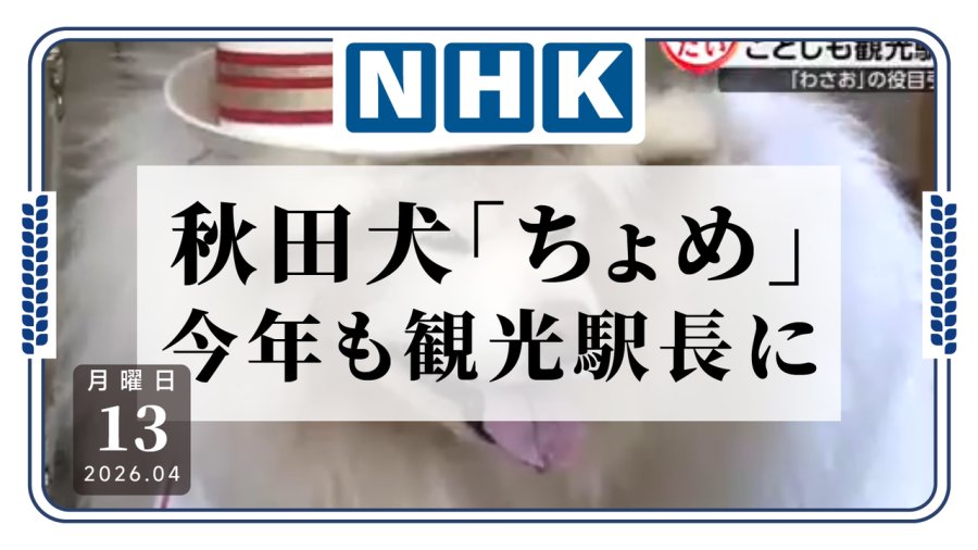 日语阅读 - 可爱修勾来上班啦！秋田犬“CHOME”今年再度出任JR鲹泽站观光站长 - MOJi辞書
