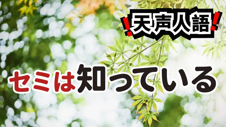 日语阅读 - 战争结束日蝉鸣骤停 | 品味酷暑盛夏的玄妙 - MOJi辞書