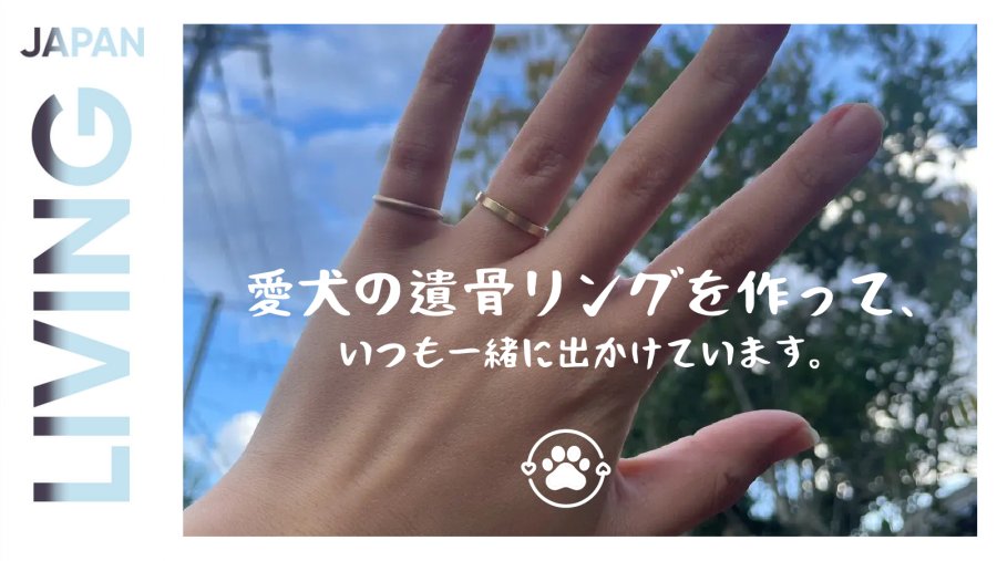 日语阅读 - 爱犬的遗骨戒指 - MOJi辞書