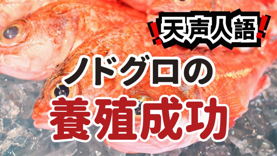 日语阅读 - 寻回江户的深海至味 | 一尾“喉黑鱼”的舌尖史诗 - MOJi辞書