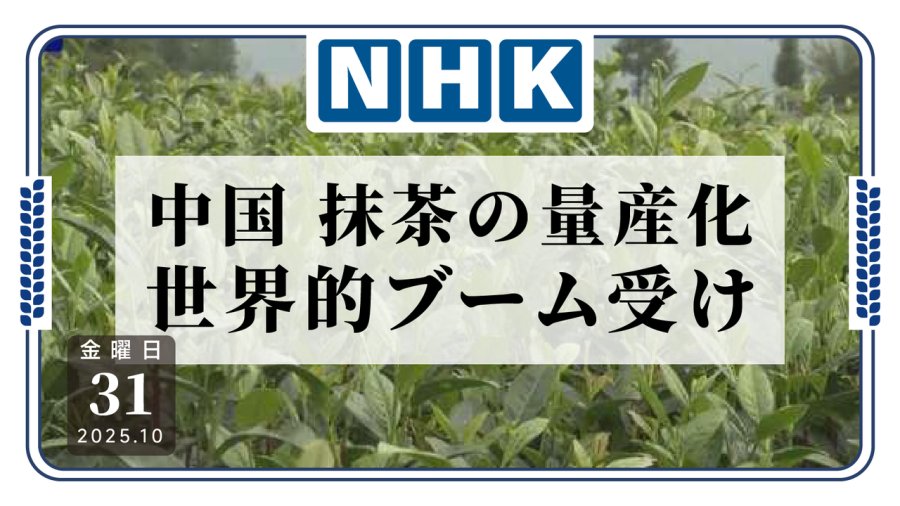 日语阅读 - 火遍全球的抹茶是真滴香！中国主要产区推动抹茶量产 - MOJi辞書