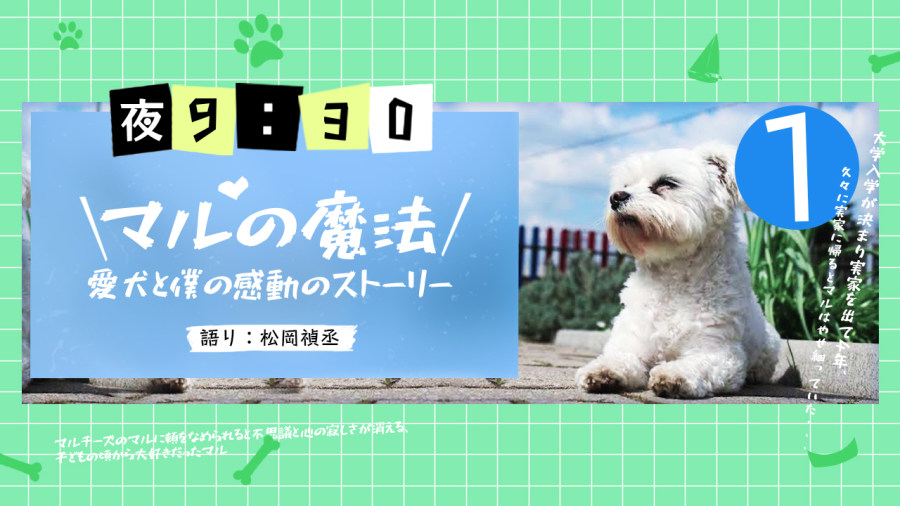 日语阅读 - 松冈祯丞 | 小丸的魔法（前篇） - MOJi辞書