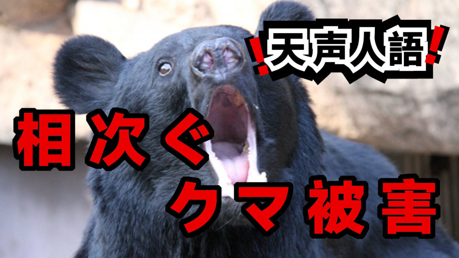 日语阅读 - 如何避免熊与人的悲惨相遇 | “以为要死在那儿了” - MOJi辞書