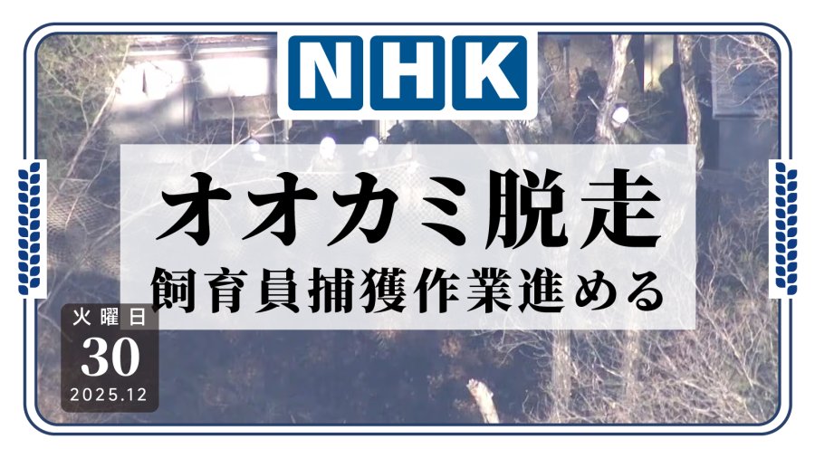 日语阅读 - 狼只脱逃？饲养员进行抓捕作业 - MOJi辞書