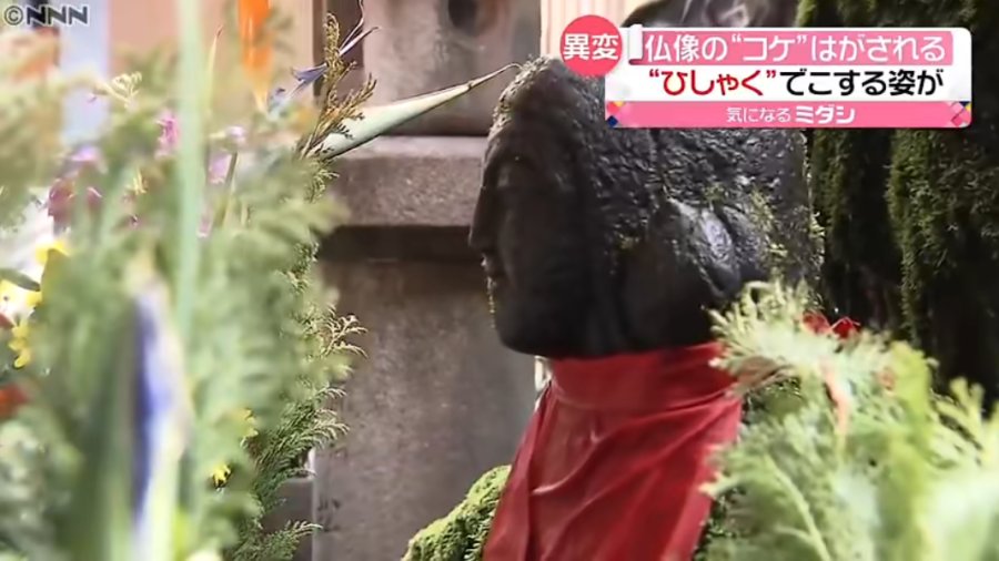 日语阅读 - 【中日双语】来客手贱刮掉佛像青苔让日本寺庙住持叫苦不迭 - MOJi辞書
