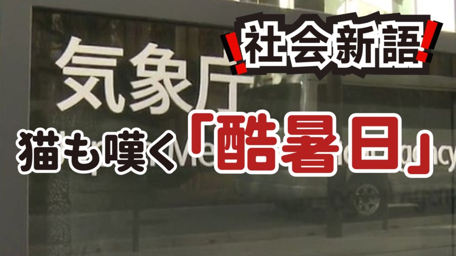 日语阅读 - 想脱掉毛皮衣裳的“酷暑日” | 猫的叹息与人类的重责 - MOJi辞書