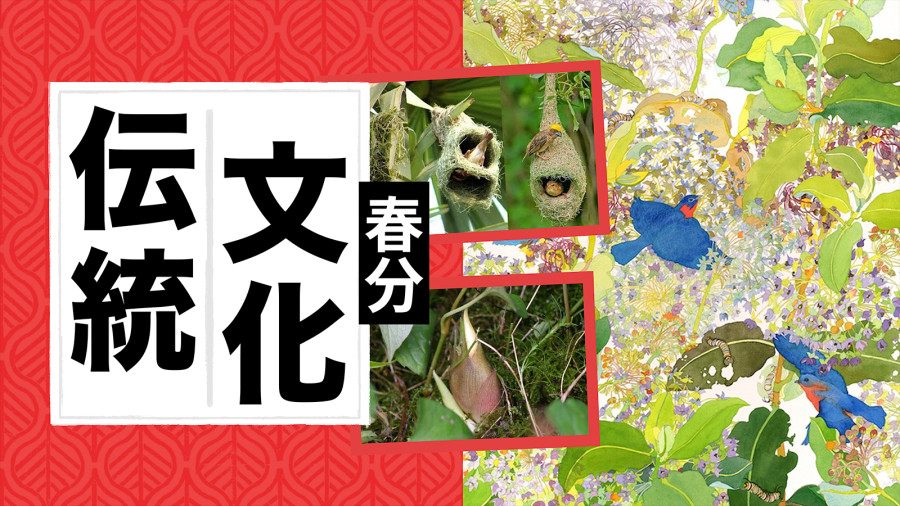 日语阅读 - 春分【时令特供】 - MOJi辞書