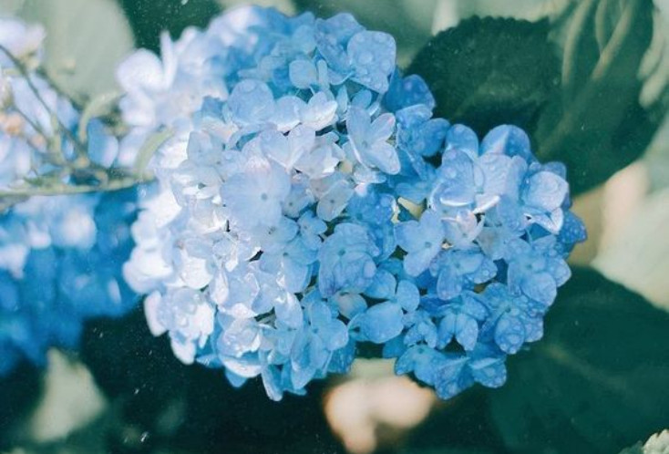 日语阅读 - やがて雨は告げる - 能登麻美子 - MOJi辞書