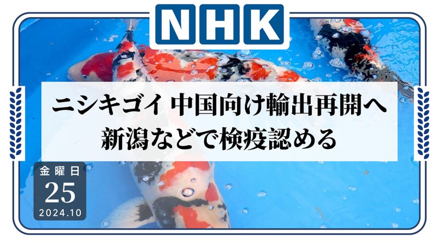 日语阅读 - 中国恢复进口日本水产海产品：必须符合安全标准！ - MOJi辞書