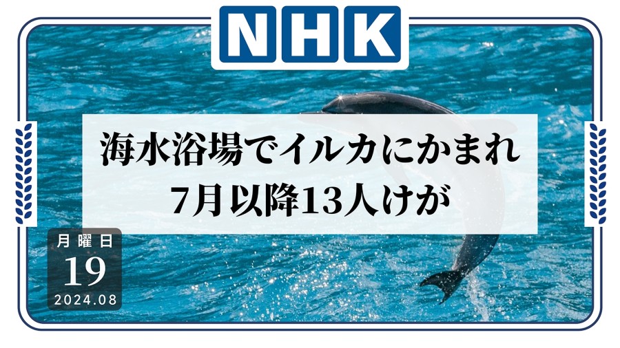 日语阅读 - 不是说亲近人类吗！日本多人被海豚咬伤 - MOJi辞書