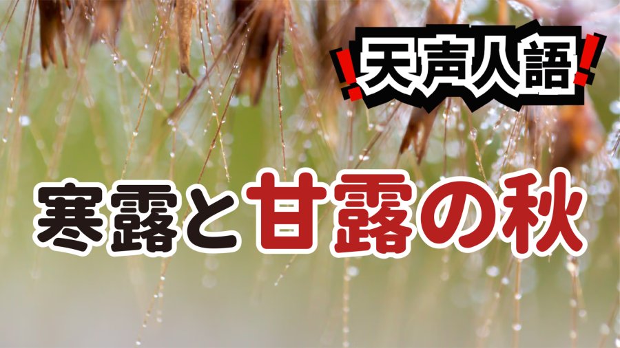 日语阅读 - 惊觉秋日疾行的脚步 | 美好藏于细节之中 - MOJi辞書