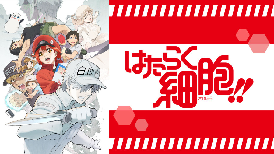 日语阅读 - 只要这身体还活着，就没有放弃工作的理由 - MOJi辞書