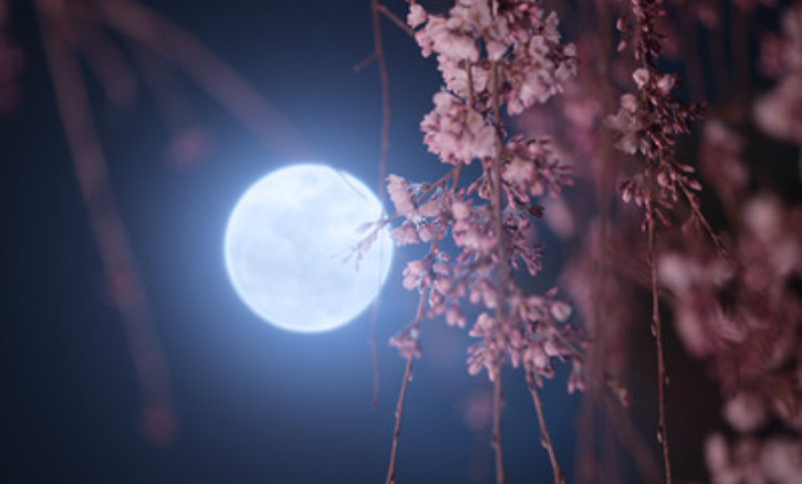 日语阅读 - 月夜 - MOJi辞書