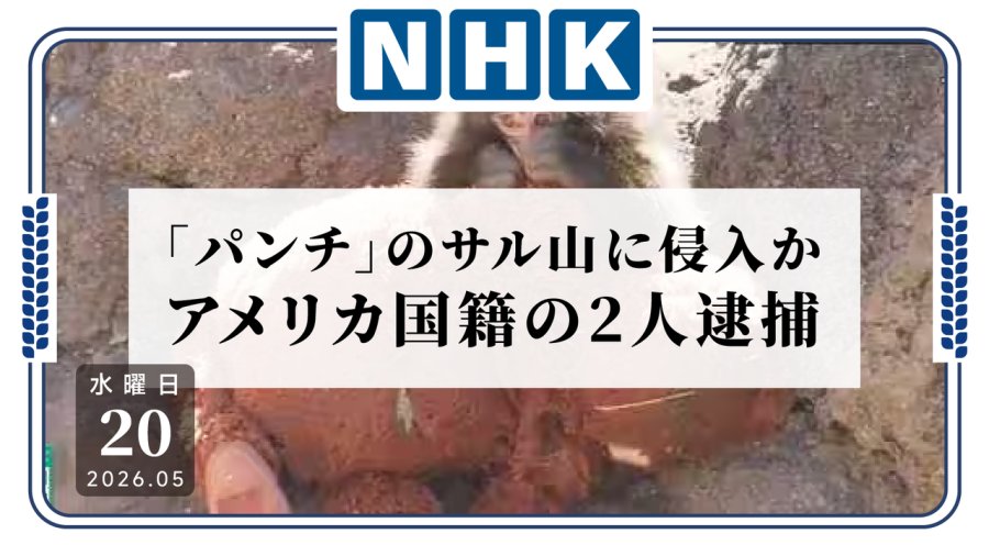 日语阅读 - 为了流量连猴都不放过？两名美籍青年因擅闯猴山被捕 - MOJi辞書