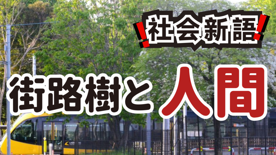日语阅读 - 剪落绿荫时的那份踌躇 | 探寻人与行道树的共生距离 - MOJi辞書