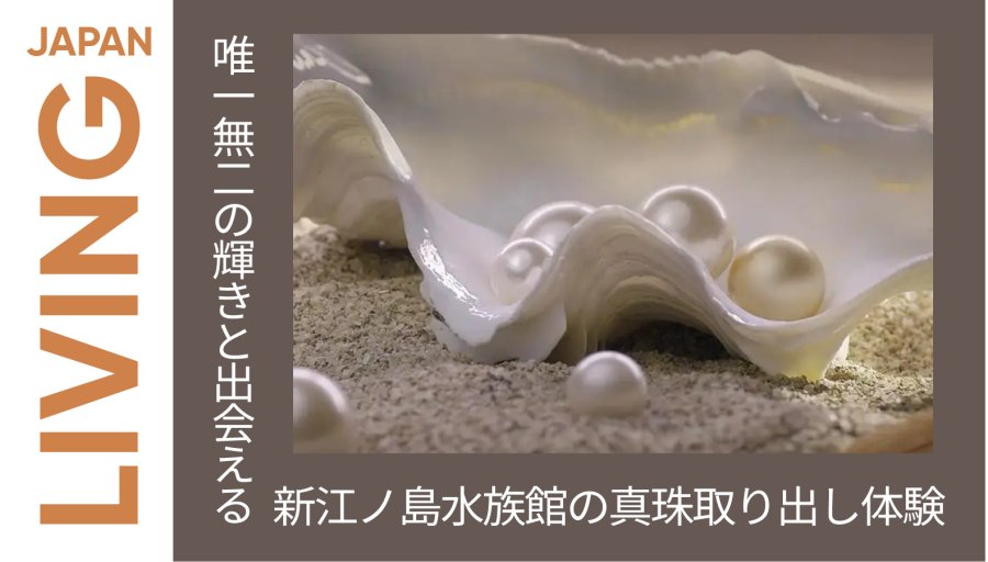 日语阅读 - 开蚌取珍珠体验：邂逅独一无二的光芒 - MOJi辞書