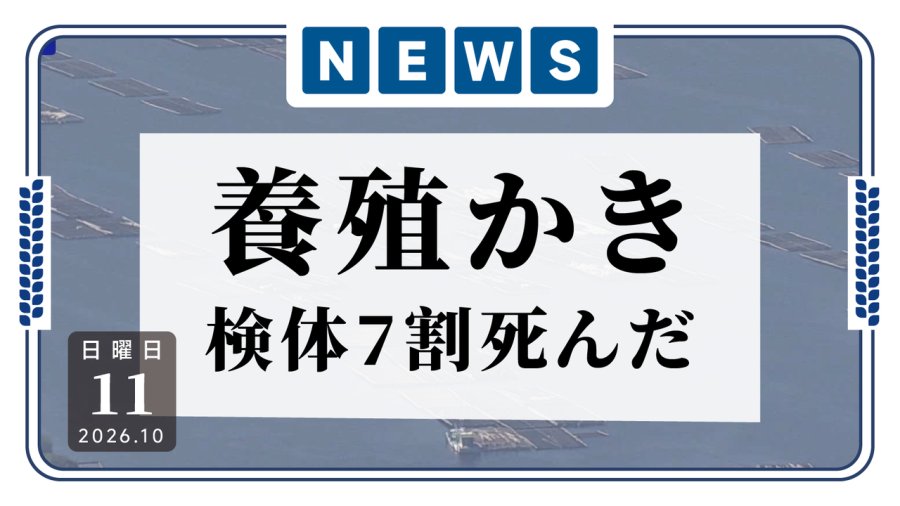 日语阅读 - 真的牡蛎摸牡蛎了！😭广岛县部分监测点牡蛎死亡率达70% - MOJi辞書