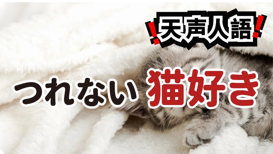 日语阅读 - 从《我是猫》到猫画展｜世间深情爱猫者无数 - MOJi辞書