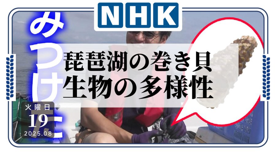 日语阅读 - 琵琶湖新物种？川蜷在隔绝环境中进化出奇特外壳 - MOJi辞書