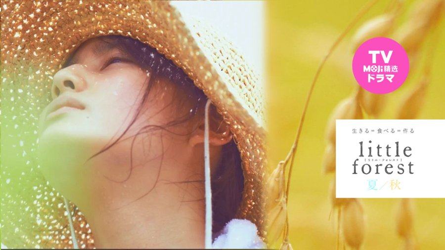 日语阅读 - 逃回此处闲静 | 小森林 - MOJi辞書