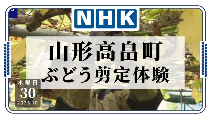 「还是农业适合我，山形高畠町开设葡萄剪枝体验课」-MOJi辞書