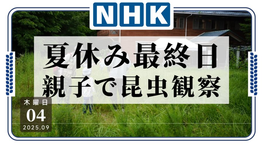 「夏天悄悄过去，满载昆虫知识而归」-MOJi辞書