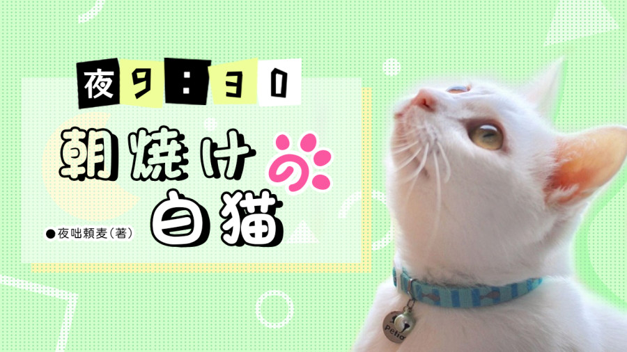 日语阅读 - 晨曦中的白猫 - MOJi辞書