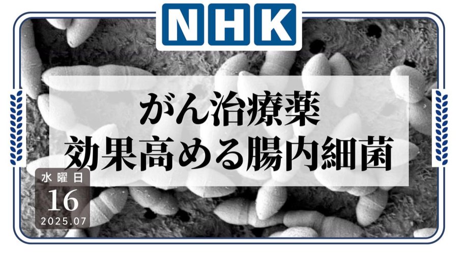 日语阅读 - 新的希望！研究发现一肠道细菌可增强抗癌药疗效 - MOJi辞書
