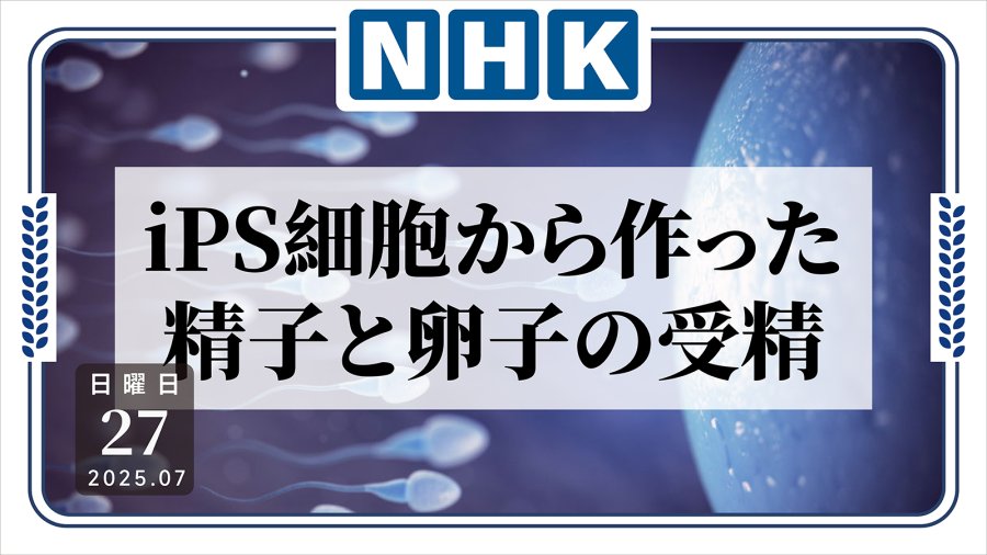 日语阅读 - 科学家能用iPS细胞造人？日本最新政策划出这些红线 - MOJi辞書