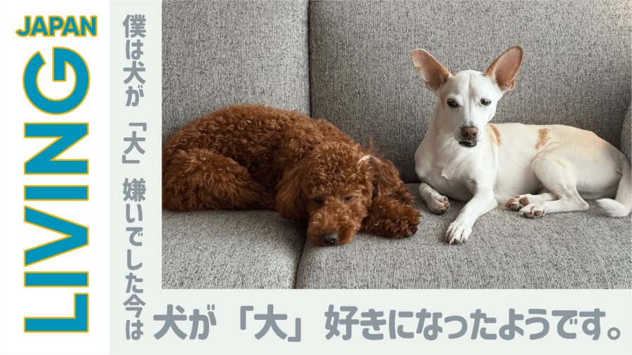 日语阅读 - 我家的两只狗：小时候被狗咬的心理阴影已然消散 - MOJi辞書