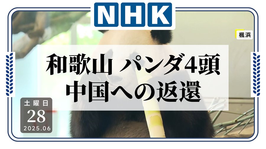 日语阅读 - 只剩两只了！又有4只大熊猫归还中国 - MOJi辞書