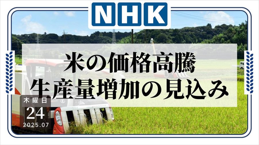 「米价高企：稻米产量预计增加」-MOJi辞書
