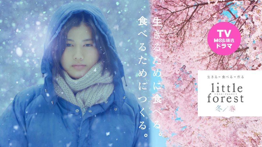 「紫黄白的忘年茶会蛋糕｜小森林」-MOJi辞書