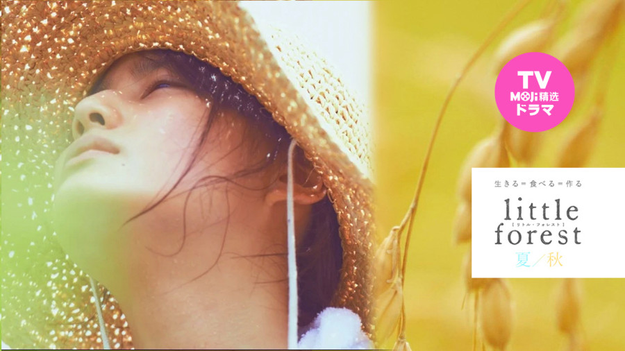 日语阅读 - 做菜能看出人心 | 小森林 - MOJi辞書