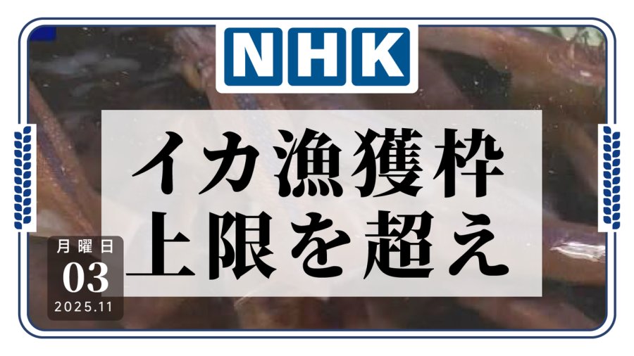 日语阅读 - 日本鱿鱼禁渔令持续，渔民只能干瞪眼无法开工？ - MOJi辞書