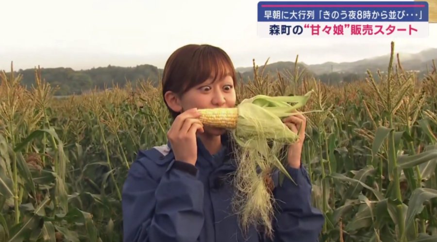 「咬一口就…爆汁！“甜甜娘”吃起来又润又甜~甜度比肩芒果哈密瓜的鲜玉米吸引民众大排长龙」-MOJi辞書