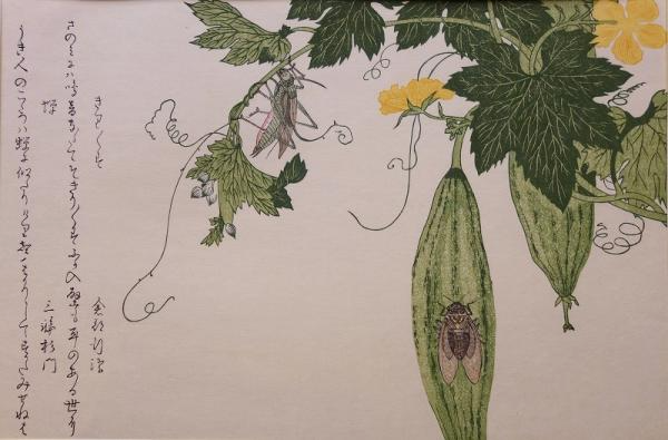 蝉時雨」高树蝉声入晚云- MOJi辞書