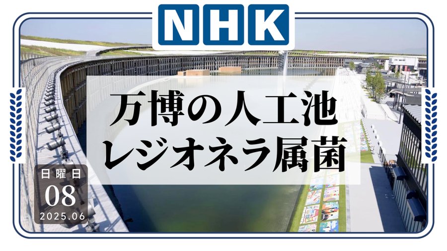 日语阅读 - 大阪世博会水池内军团菌超标，水上表演等项目被迫暂停！ - MOJi辞書