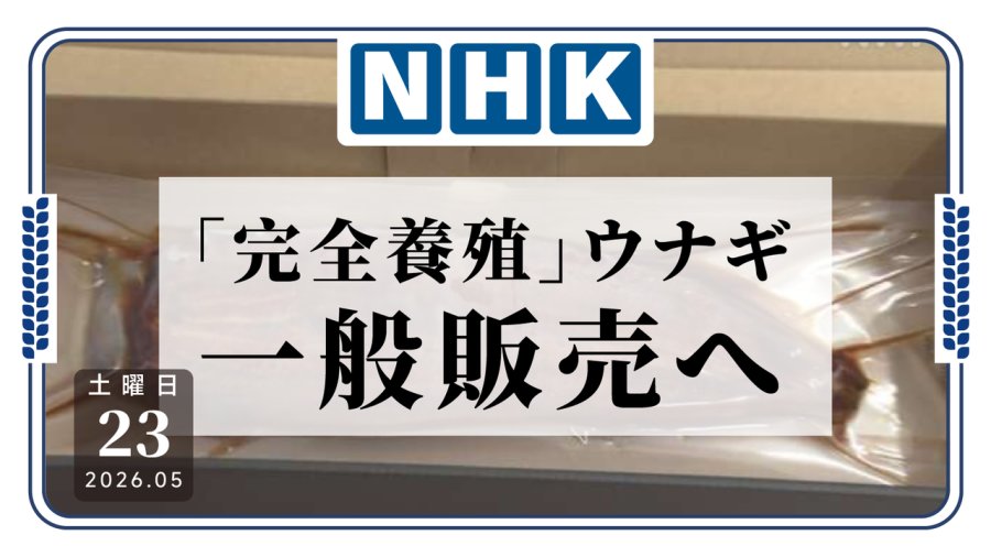日语阅读 - 从鱼卵开始自己养！日本全人工养殖的蒲烧鳗鱼首次上市售卖 - MOJi辞書