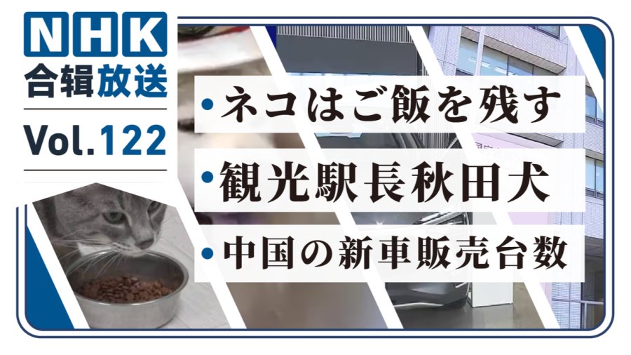 「NHK周五合辑122丨猫咪剩饭原因！秋田犬出任JR鲹泽站观光站长！中国车市“内冷外热”！」-MOJi辞書