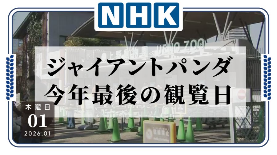 「时间不多了！2025年上野动物园观赏熊猫的最后一天」-MOJi辞書