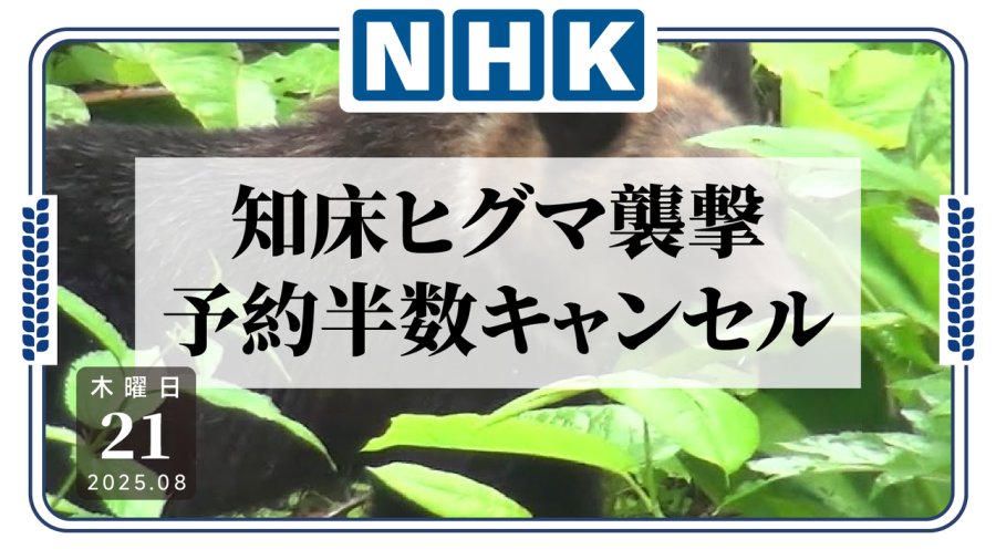 「知床熊出没！游客不安退订多」-MOJi辞書