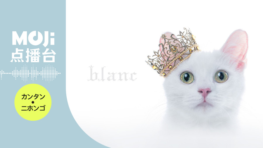 日语阅读 - 六等星の夜 - MOJi辞書