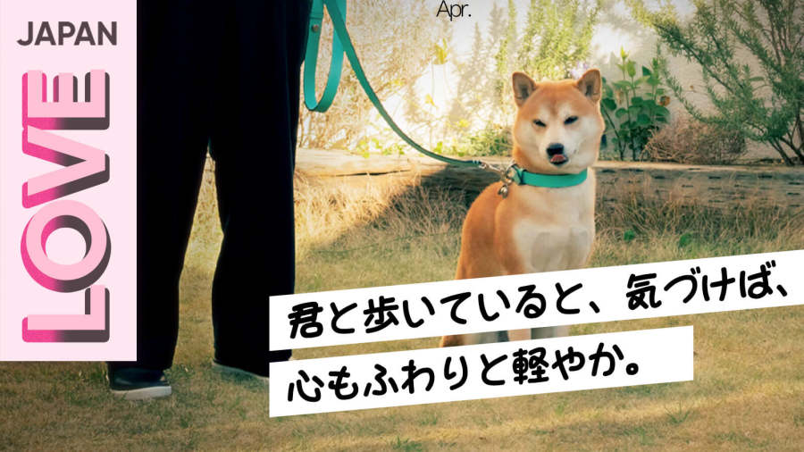 日语阅读 - 北野武与他的爱犬权藏 | ビートたけしと愛犬・権蔵 - MOJi辞書