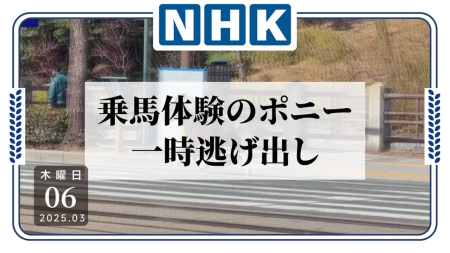 「奔向自由！松山市一小型马出逃」-MOJi辞書