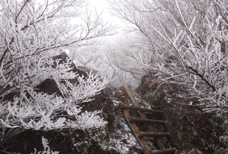 日语阅读 - 天城の雪 - MOJi辞書