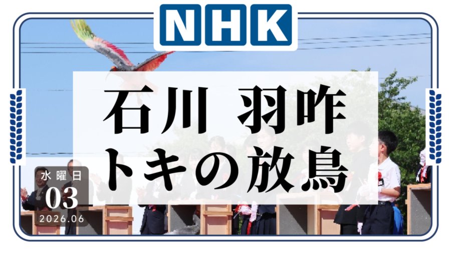 「日本本州首次放飞朱鹮！」-MOJi辞書