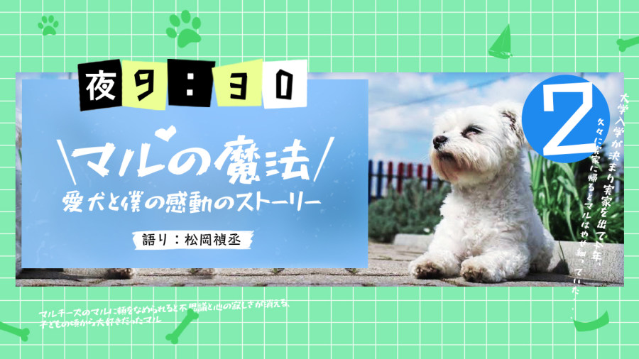 日语阅读 - 松冈祯丞 | 小丸的魔法（后篇） - MOJi辞書