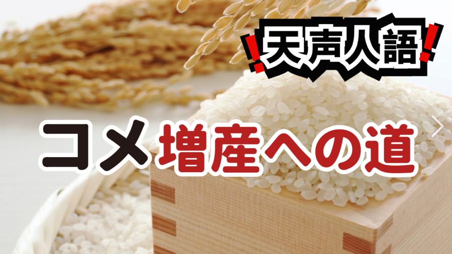 日语阅读 - 稻米竟然供不应求？| 减产急转增产政策的原因 - MOJi辞書